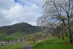 1.-Etappe-Burgruine-Yburg