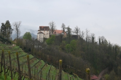 4.-Etappe-Schloss-Staufenberg-bei-Durbach