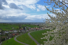 1.-Etappe-Affental