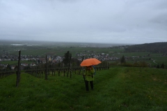 1.-Etappe-Aufstieg-zur-Josefskapelle-bei-Varnhalt