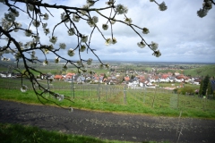 1.-Etappe-Neuweier