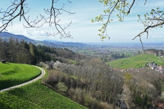 2.-Etappe-Blick-von-Alt-Windeck-in-die-Rheinebene