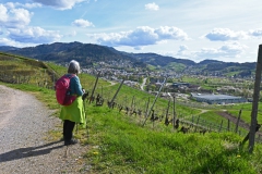 2.-Etappe-Erster-Blick-auf-Kappelrodeck