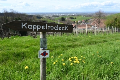 2.-Etappe-Wegzeichen