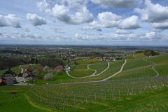 2.-Etappe-Weinberge-bei-Sasbachwalden