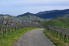 3.-Etappe-Blick-zurueck-nach-Kappelrodeck