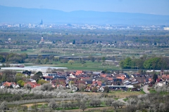 3.-Etappe-Strassburg