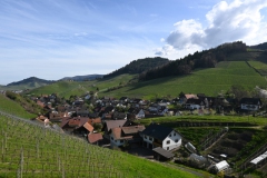 3.-Etappe-Waldulm
