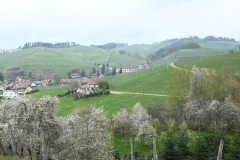 4.-Etappe-Durbach