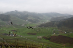 4.-Etappe-ohne-Worte