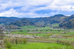 5.-Etappe-Berghaupten-mit-Marktscheune