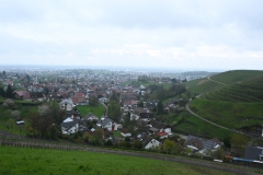 5.-Etappe-Richtung-Offenburg